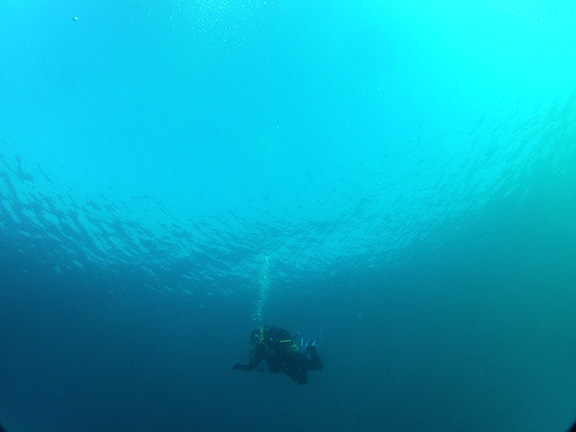 Diver Descending