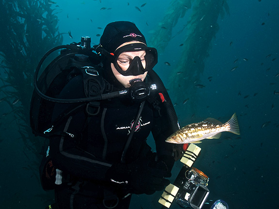 Diver Kelly Miller and a Kelp Bass